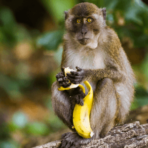 tekstschrijver voor internet Eindhoven tekstschrijver voor internet Eindhoven