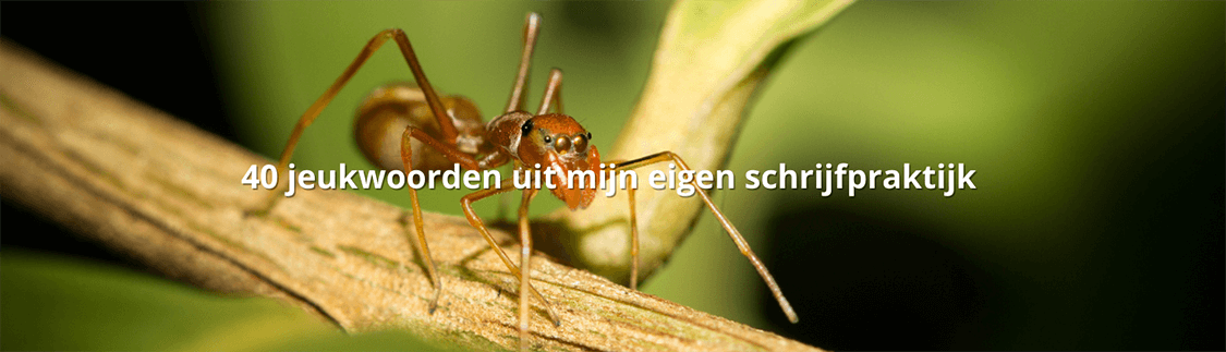 40 jeukwoorden uit eigen schrijfpraktijk