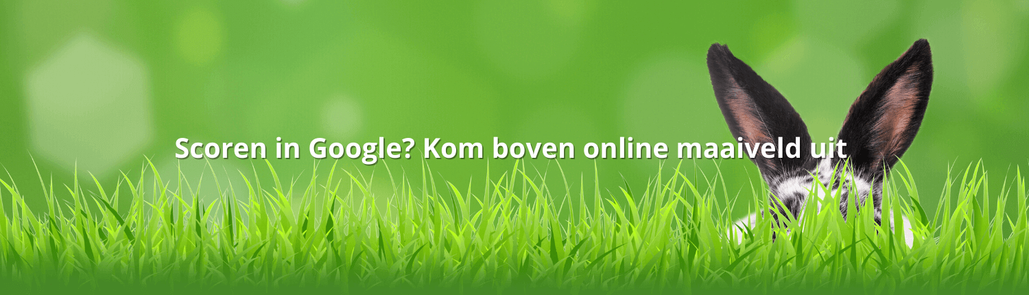 Website teksten laten schrijven - scoren in Google