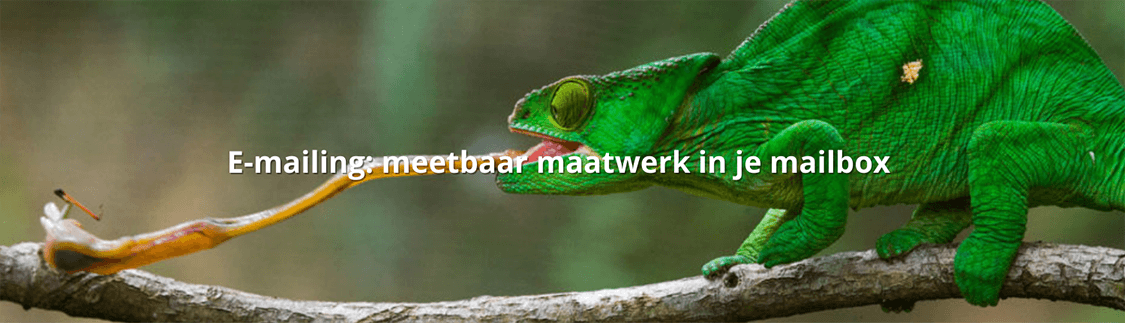 tekstschrijver digitale mailing - meetbaar maatwerk in mailbox