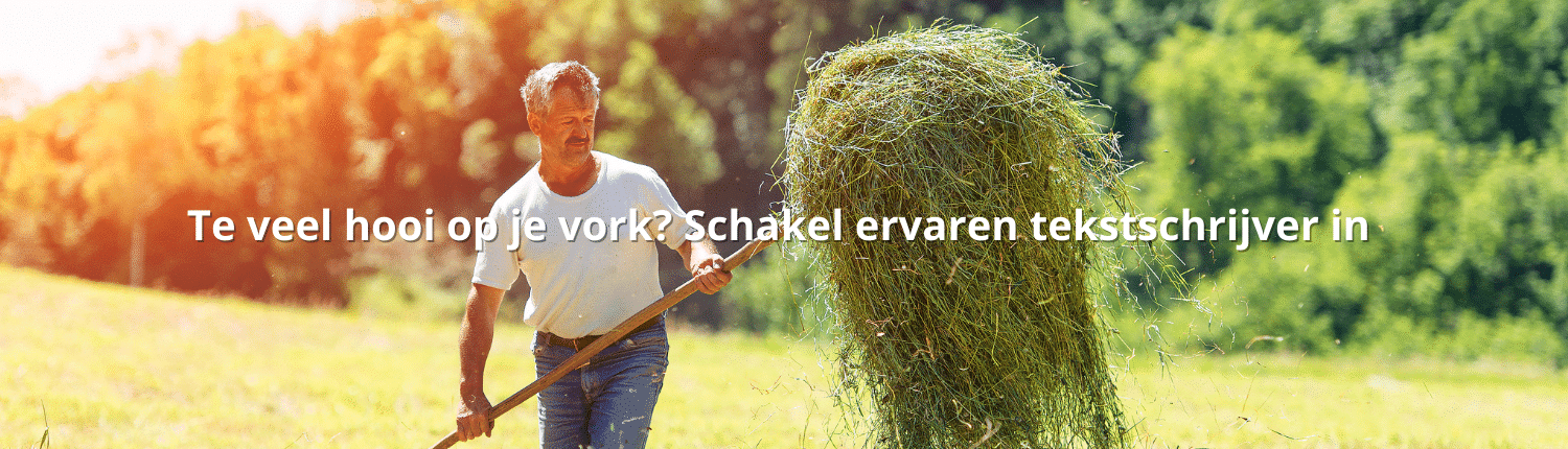 Te veel hooi op je vork - Schakel ervaren tekstschrijver in