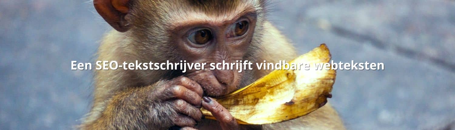 Een SEO-tekstschrijver schrijft vindbare webteksten