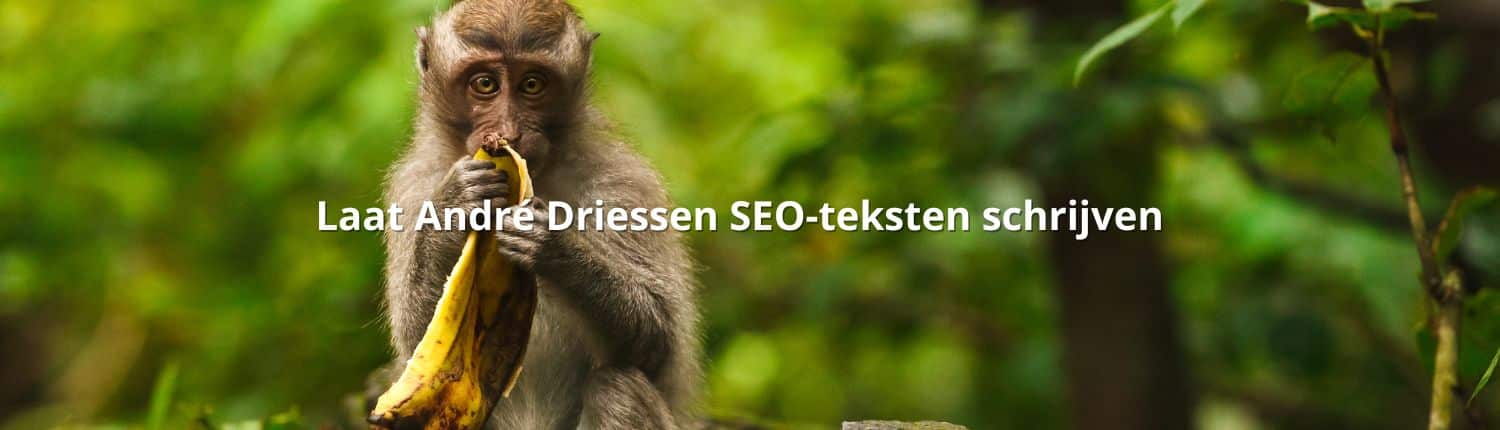 Laat André Driessen SEO-teksten schrijven