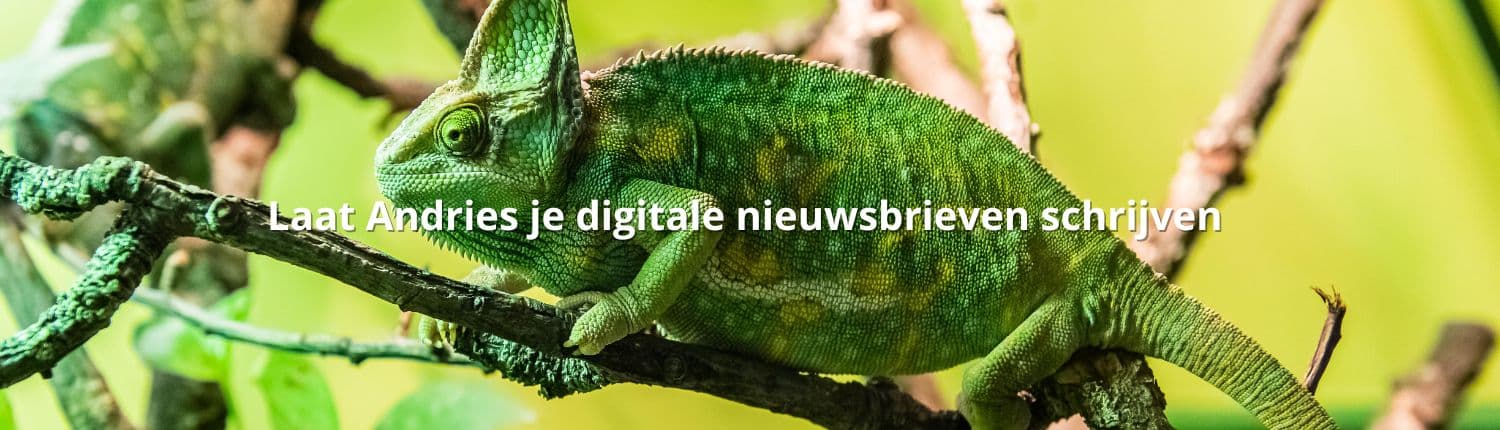 Laat Andries je digitale nieuwsbrieven schrijven