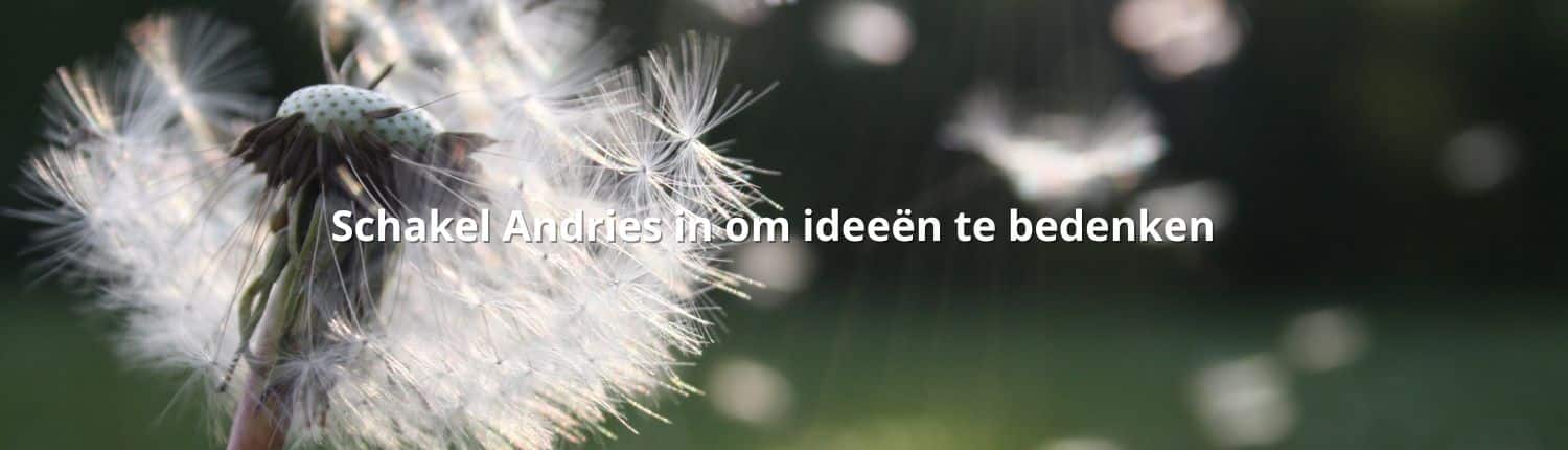 Schakel Andries in om ideeën te bedenken