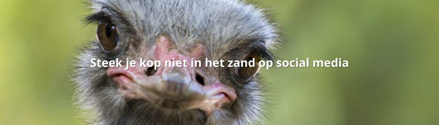 Steek je kop niet in het zand op social media